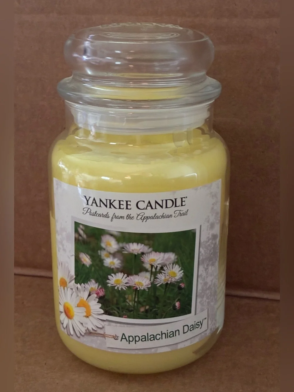 NEW Yankee Candle ~ RETIRED Scent ~ Appalachian Daisy Postcards Collection; 22oz
